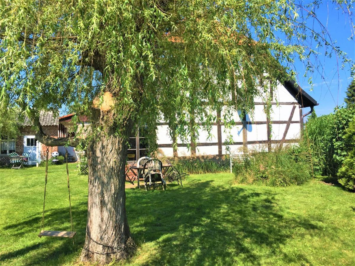 Fischerhaus Godewind 60 Qm Altwarp Exteriör bild