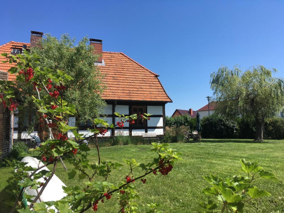Fischerhaus Godewind 60 Qm Altwarp Exteriör bild